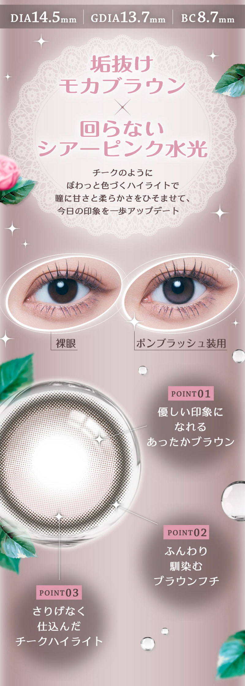 ワンデーリフレア ポンニ