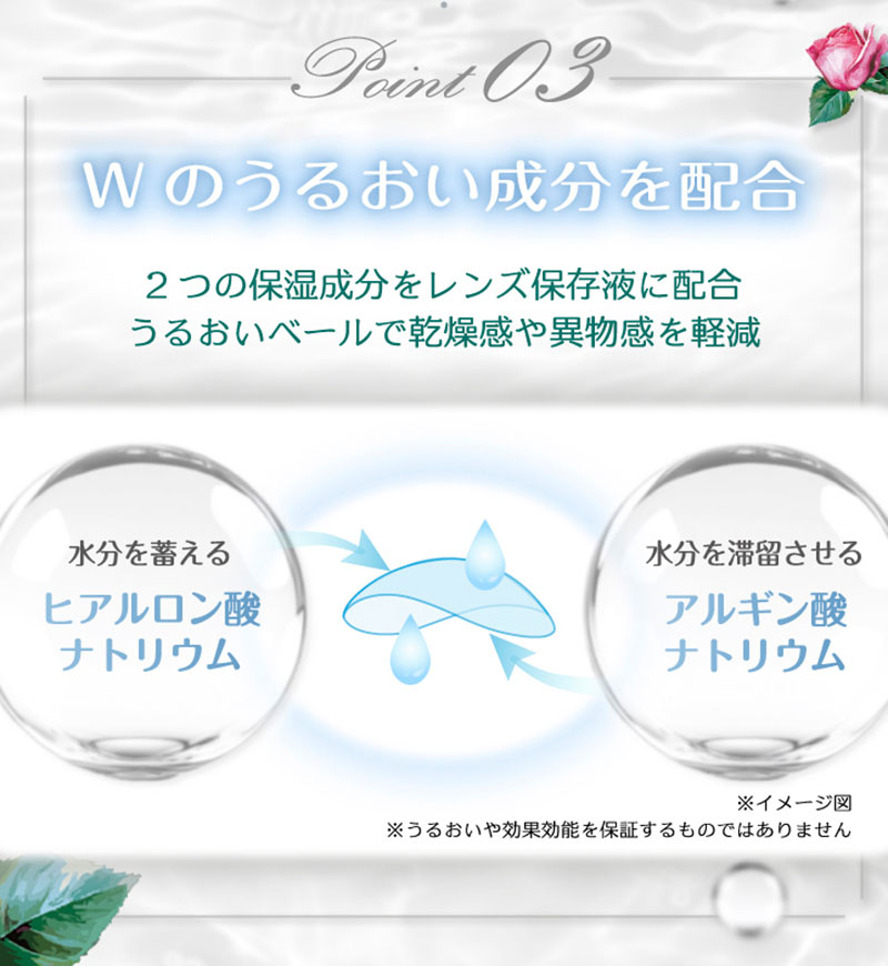ワンデーリフレア ポンニ