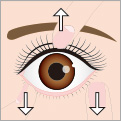 レンズを乗せていない方の手の指で上まぶたを引き上げます